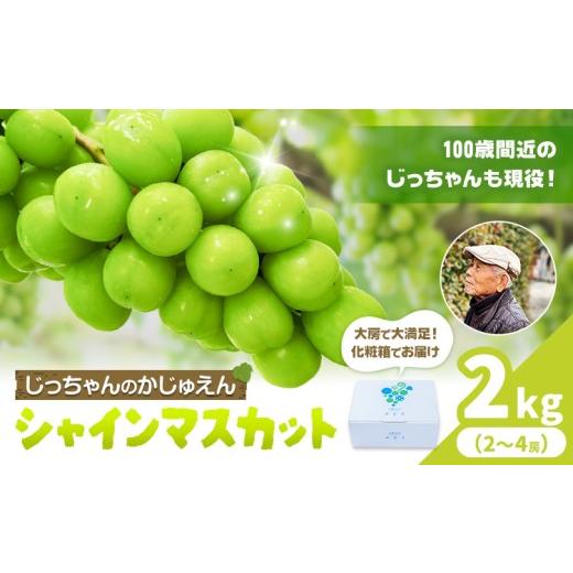ふるさと納税 ぶどう マスカット 熊本県 荒尾市 シャインマスカット マスカット 2kg じっちゃんのかじゅえん[8月上旬-9月下旬頃出荷]熊本県 荒尾市 旬 果物 …