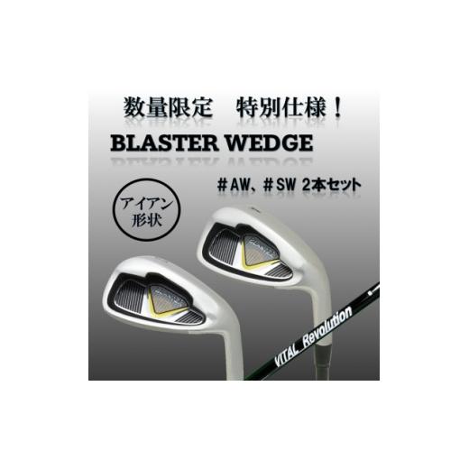 ふるさと納税 ゴルフグッズ クラブ 栃木県 小山市 ゴルフクラブ ウェッジ BLASTER #AW #SW 2本セット フレックスR 特別仕様 1726041