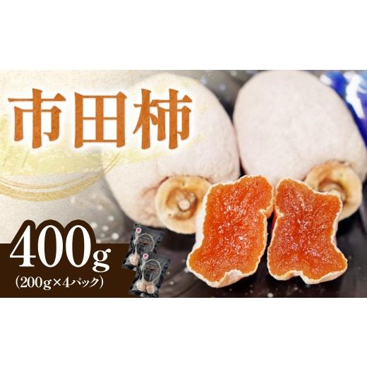 ふるさと納税 柿・栗 長野県 豊丘村 南信州産 市田柿 約400g(200g×2袋) 2026年12月中旬〜発送開始予定 干し柿 柿 ドライフルーツ フルーツ 果物 長野県…
