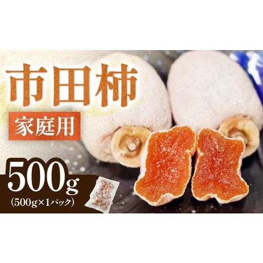 ふるさと納税 柿・栗 長野県 豊丘村 家庭用 南信州産 市田柿 約500g 2026年12月中旬〜発送開始予定 訳あり 干し柿 柿 ドライフルーツ フルーツ 果物 長野…