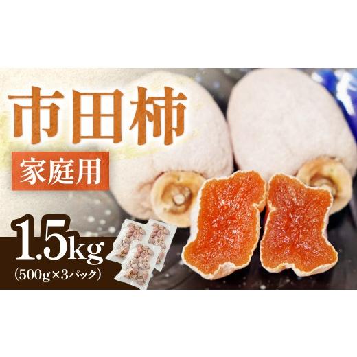 ふるさと納税 柿・栗 長野県 豊丘村 家庭用 南信州産 市田柿 約1.5kg(500g×3袋) 2026年12月中旬〜発送開始予定 訳あり 干し柿 柿 ドライフルーツ フルー…