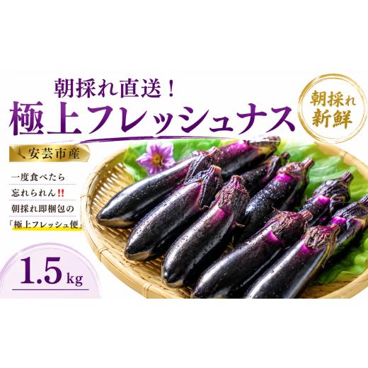 ふるさと納税 野菜類 高知県 安芸市 先行受付 「優秀賞受賞なす」 約1.5kg 約15本 採れたて 新鮮 旬 野菜 やさい 茄子 先行予約 期間限定 季節 料理 ご飯 ご…