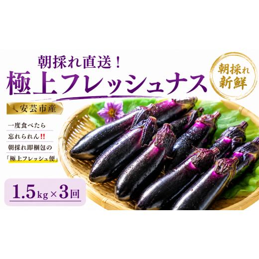 ふるさと納税 野菜類 高知県 安芸市 先行受付 3回定期便 「優秀賞受賞なす」 計4.5kg 約15本×3回 採れたて 新鮮 旬 野菜 やさい 茄子 先行予約 期間限定 季…