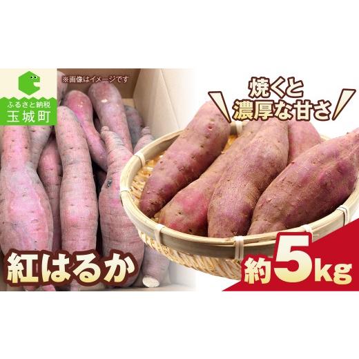 ふるさと納税 野菜類 サツマイモ 三重県 玉城町 先行予約 紅はるか さつまいも 約5kg 芋 いも サツマイモ 紅はるか 焼き芋 甘い ねっとり 旬 野菜 三重県 玉…