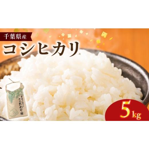 ふるさと納税 米 コシヒカリ 千葉県 銚子市 コシヒカリ 米 お米 5kg 令和8年産 新米 国産 国産米 コメ おこめ ご飯 ごはん しんまい kome okome 千葉県産 白米…