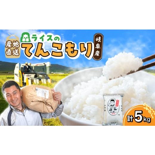 ふるさと納税 米 岐阜県 岐阜市 てんこもり 5kg 白米 米 精米 お米 岐阜市 / 森ライス