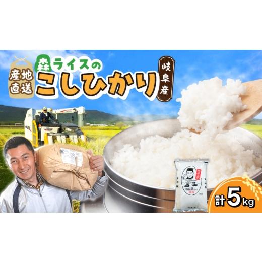 ふるさと納税 米 コシヒカリ 岐阜県 岐阜市 こしひかり 5kg 白米 米 精米 お米 岐阜市 / 森ライス
