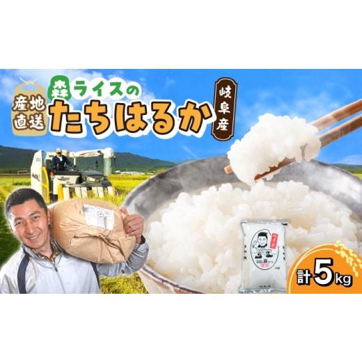 ふるさと納税 米 岐阜県 岐阜市 たちはるか 5kg 白米 米 精米 お米 岐阜市 / 森ライス