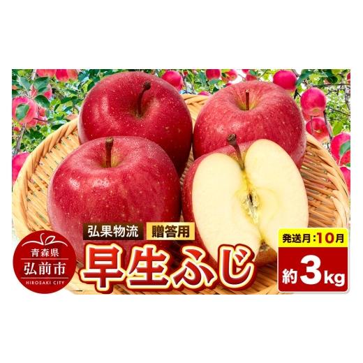 ふるさと納税 りんご 青森県 弘前市 26年10月発送 りんご 早生ふじ 贈答用 約3kg 青森県 弘前市 早生ふじ りんご 贈り物 贈答用 お歳暮 お中元 ギフト 3キロ …