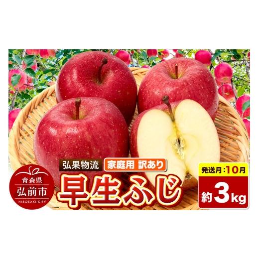 ふるさと納税 りんご 青森県 弘前市 26年10月発送 りんご 早生ふじ 訳あり 約3kg 家庭用 青森県 弘前市 早生ふじ りんご 訳あり 家庭用 アップル おいしい 果…