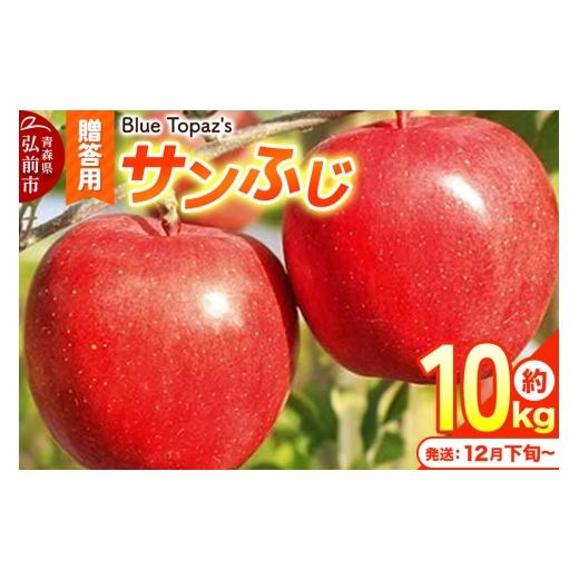 ふるさと納税 りんご 青森県 弘前市 26年12月下旬〜発送 りんご サンふじ 贈答用 約10kg 青森県 弘前市 先行予約 クール便 アップル おいしい ふじ りんご 果…
