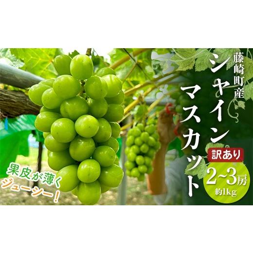 ふるさと納税 ぶどう マスカット 青森県 藤崎町 先行予約 訳あり シャインマスカット 2〜3房 約1kg [木村隆志 作] 藤崎町産 ぶどう 葡萄 フルーツ 厳選 大…