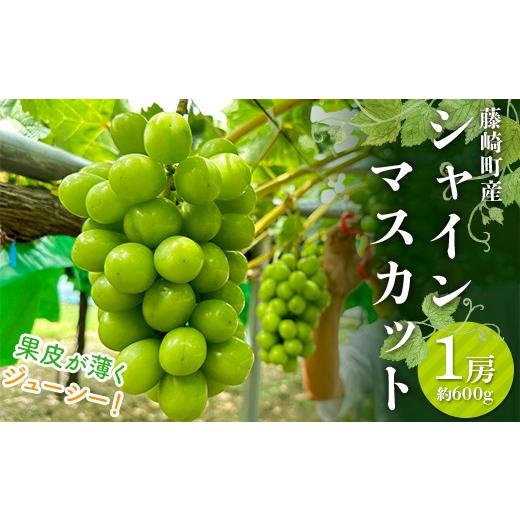 ふるさと納税 ぶどう マスカット 青森県 藤崎町 先行予約 シャインマスカット 1房 約600g [木村隆志 作] 藤崎町産 化粧箱入り ぶどう 葡萄 フルーツ 厳選 …