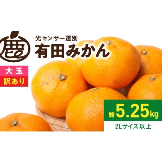 ふるさと納税 果物類 みかん 和歌山県 湯浅町 家庭用 訳あり 有田みかん 約 5kg サイズ混合 傷み補償 250g 果汁 濃縮 濃厚 光センサー選果 農家直送 大玉 みか…