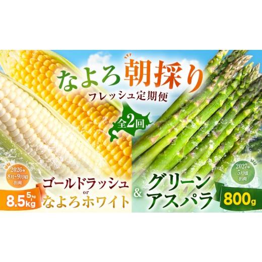 ふるさと納税 とうもろこし 北海道 名寄市 定期便全2回 なよろ朝採り フレッシュ定期便 全2回 [2026年8月上旬-2027年5月下旬頃出荷]北海道 名寄市 名寄市産…
