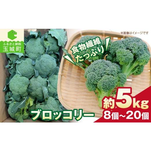 ふるさと納税 野菜類 三重県 玉城町 先行予約 ブロッコリー 約5kg 8個〜20個 野菜 三重県 玉城町 2026年12月上旬〜2027年2月下旬頃まで順次発送予定