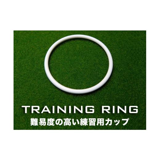 ふるさと納税 ゴルフグッズ 高知県 高知市 ゴルフ練習セット (45cm×4m) 2枚組パターマット パターマット工房PROゴルフショップ ATAG074 ゴルフ ごるふ パター…_6
