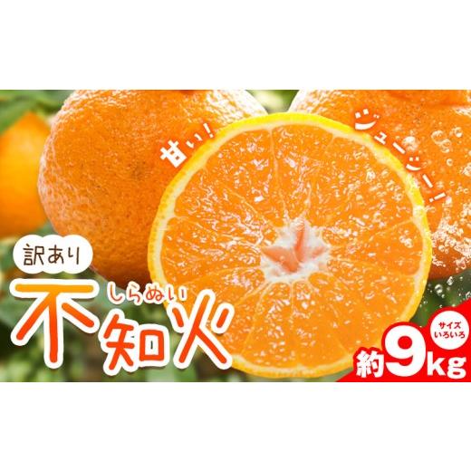 ふるさと納税 果物類 みかん 和歌山県 日高川町 訳あり不知火 約9kg (サイズいろいろ) うえやまファーム[2027年2月中旬-3月中旬頃出荷] 和歌山県 日高川町 …