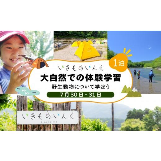 ふるさと納税 体験チケット 北海道 伊達市 2026年 7月30日(1泊) 大自然での子ども体験学習キャンプ 野生動物について学ぼう imi-001 北海道 伊達市 アウトド…