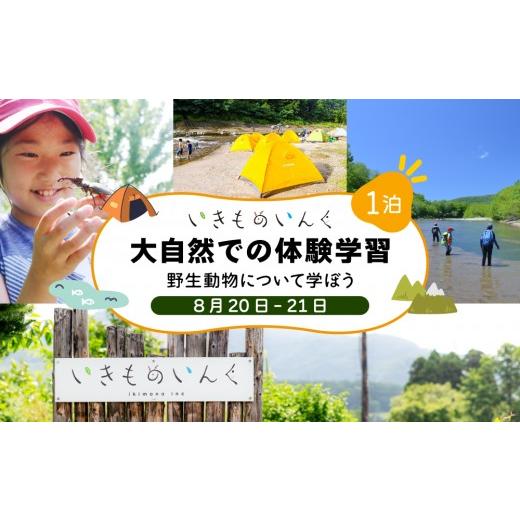 ふるさと納税 体験チケット 北海道 伊達市 2026年 8月20日(1泊) 大自然での子ども体験学習キャンプ 野生動物について学ぼう imi-002 北海道 伊達市 アウトド…