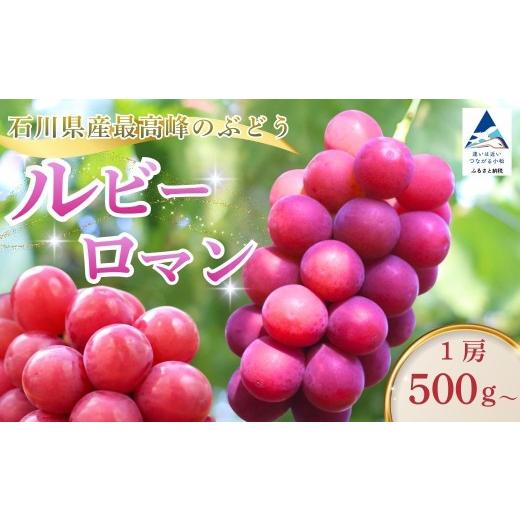 ふるさと納税 ぶどう 石川県 小松市 2026年 先行予約 ルビーロマン ぶどう 葡萄 大粒 1房 500g 以上 贈答品 | 石川県 小松市 堀他