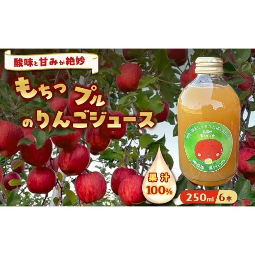 ふるさと納税 りんご 長野県 山ノ内町 もちっプルのりんごジュース 果汁100% 250ml×6本 りんごジュース ジュース 飲料 100%果汁 サンふじ 山ノ内町 もっちー…