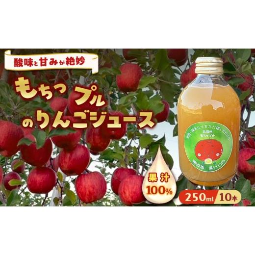 ふるさと納税 果汁飲料 りんご 長野県 山ノ内町 もちっプルのりんごジュース 果汁100% 250ml×10本りんごジュース ジュース 飲料 100%果汁 サンふじ 山ノ内町 …
