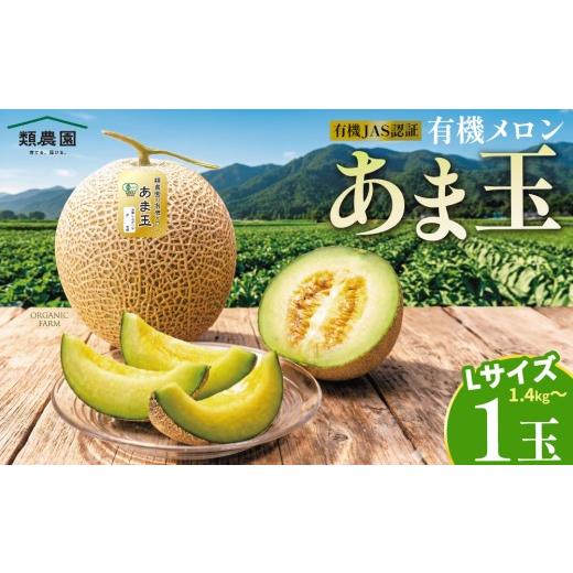 ふるさと納税 メロン メロン青肉 奈良県 宇陀市 期間限定 有機メロン「あま玉」1玉 Lサイズ 1.4kg〜 R8年7月15日より順次発送 /メロン 有機 有機JAS 甘玉 あ…