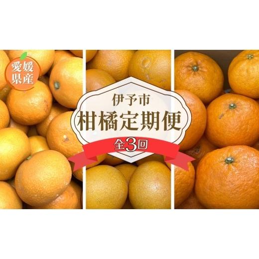 ふるさと納税 みかん・柑橘類 愛媛県 伊予市 2026年先行予約 訳あり 柑橘定期便 全3回 温州みかん 愛果28号 甘平 ご家庭用 柑橘 フルーツ 愛媛県 伊予市|D12…