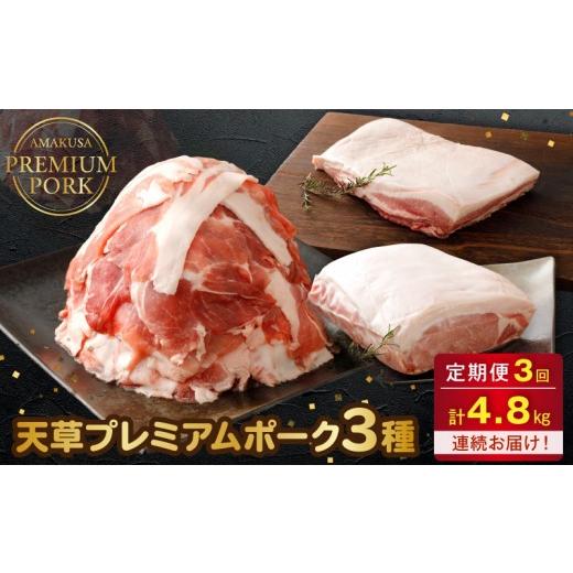 ふるさと納税 豚肉 バラ 熊本県 天草市 S058-T03_ 定期便3回 天草プレミアムポーク 3種 4.8kg(豚バラ、豚こま切れ、豚ロース)