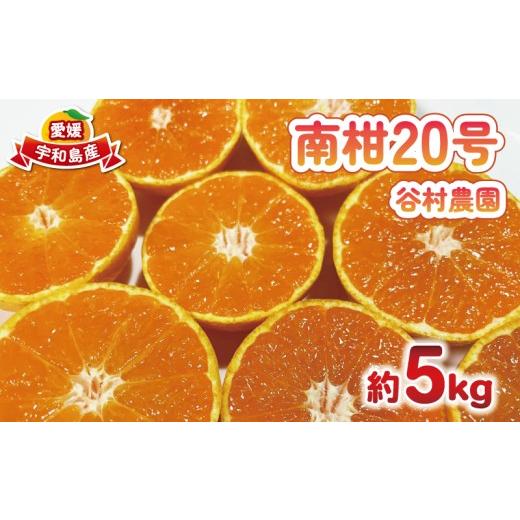 ふるさと納税 果物類 みかん 愛媛県 宇和島市 温州みかん 南柑20号 みかん 5kg 谷村農園 温州 愛媛みかん 愛媛蜜柑 愛媛ミカン うんしゅう ミカン 蜜柑 mikan …