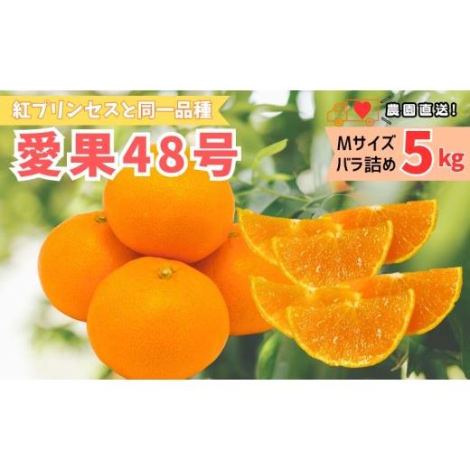 ふるさと納税 みかん・柑橘類 愛媛県 伊予市 2027年先行予約 みかん 愛果48号 5kg Mサイズ バラ詰め 贈答用 2027年3月中旬より順次発送予定 紅プリンセスと同…