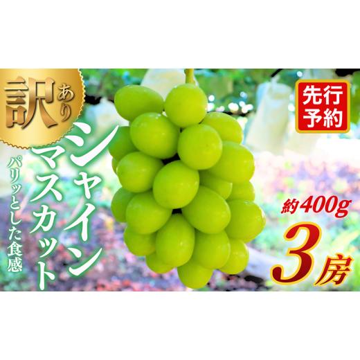 ふるさと納税 果物類 ぶどう 長野県 上田市 先行予約 訳あり 長野県産シャインマスカット 約400g×3房 見た目にワケあり 味はそのまま 果物 旬のフルーツ 長…