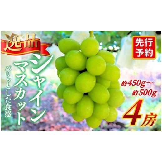 ふるさと納税 ぶどう マスカット 長野県 上田市 先行予約 逸品 長野県産シャインマスカット 約450〜500g×4房 贈答品対応可 果物 旬のフルーツ 長野県 上田 …