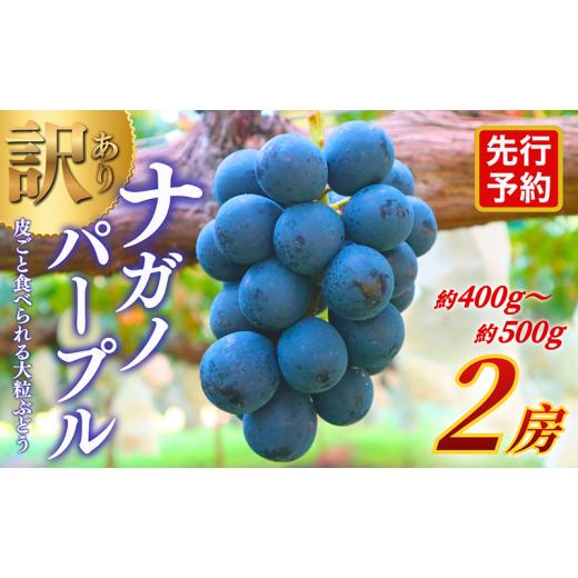 ふるさと納税 果物類 ぶどう 長野県 上田市 先行予約 訳あり 長野県産ナガノパープル 約400〜500g×2房 見た目にワケあり 味はそのまま 一粒が大きい 果物 旬…