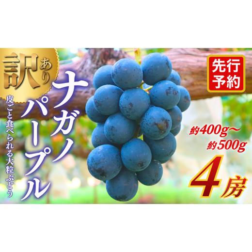 ふるさと納税 ぶどう 長野県 上田市 先行予約 訳あり 長野県産ナガノパープル 約400〜500g×4房 見た目にワケあり 味はそのまま 一粒が大きい 果物 旬のフル…