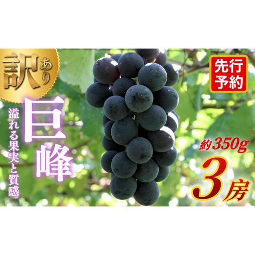 ふるさと納税 ぶどう 巨峰 長野県 上田市 先行予約 訳あり 長野県産巨峰 約350g×3房 見た目にワケあり 味はそのまま ぶどう ブドウ 果物 旬のフルーツ 長野…