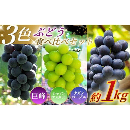 ふるさと納税 ぶどう 長野県 上田市 先行予約 訳あり 長野県産 ぶどう3種食べ比べセット(シャインマスカット・ナガノパープル・巨峰)合計約1.1kg 見た目に…
