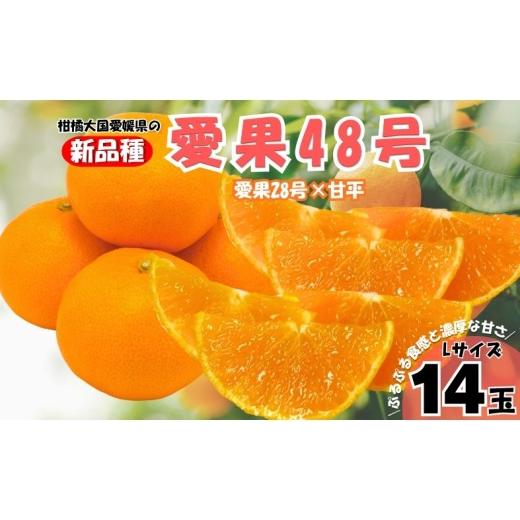 ふるさと納税 みかん・柑橘類 愛媛県 伊予市 2027年先行予約 みかん 愛果48号 Lサイズ 14玉 (贈答用) 2027年3月中旬より順次発送予定 紅プリンセスと同一品…