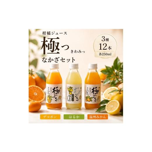 ふるさと納税 果汁飲料 みかん 愛媛県 四国中央市 柑橘ジュース「極っ」なかざセット