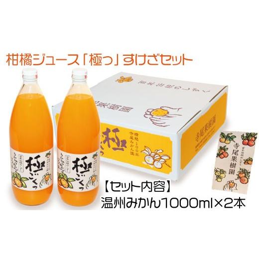 ふるさと納税 果汁飲料 みかん 愛媛県 四国中央市 柑橘ジュース「極っ」すけざセット