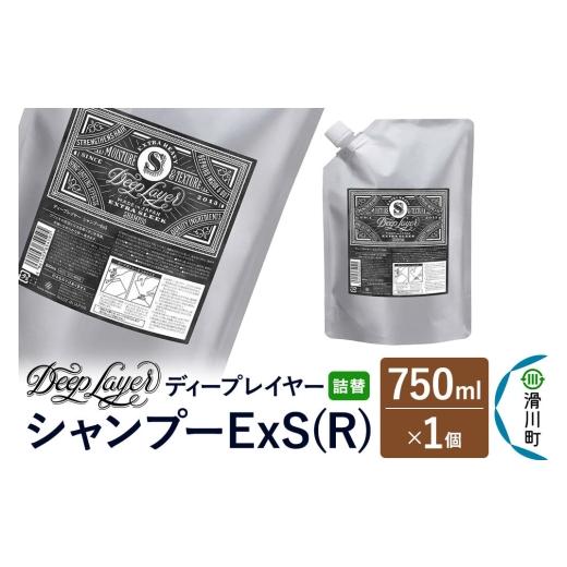 ふるさと納税 雑貨・日用品 埼玉県 滑川町 DeepLayer ディープレイヤー シャンプー ExS (R) 詰替 750mL×1個 まとまり パサつき なめらか 手触り スルスル髪 …
