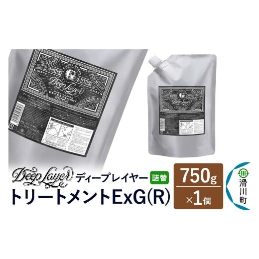 ふるさと納税 雑貨・日用品 埼玉県 滑川町 DeepLayer ディープレイヤー トリートメント ExG (R) 詰替 750g×1個 まとまり パサつき なめらか 手触り スルスル…