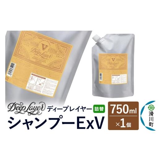 ふるさと納税 雑貨・日用品 埼玉県 滑川町 DeepLayer ディープレイヤー シャンプー ExV 詰替 750mL×1個 まとまり パサつき なめらか 手触り スルスル髪 ふん…