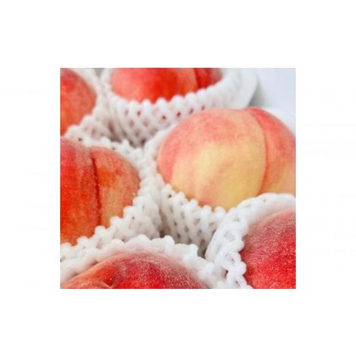 ふるさと納税 もも 長野県 長野市 長野市産甘さあふれる信州なつっこ2kg|家庭用でも感動の果汁体験セット