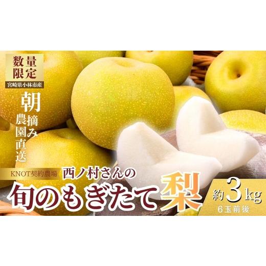 ふるさと納税 梨 宮崎県 小林市 旬のもぎたて梨3kg(フルーツ 梨 贈答用 産地直送 契約農場 おすすめ ふるさと 宮崎)