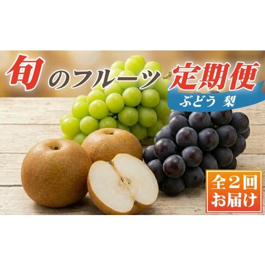 ふるさと納税 ぶどう マスカット 宮崎県 小林市 定期便 契約農場の旬のフルーツよくばりコース(定期便 シャインマスカット ぶどう 梨 フルーツ 贈答用 産地…