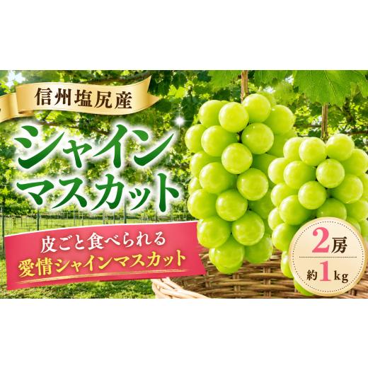 ふるさと納税 ぶどう マスカット 長野県 塩尻市 2026年先行予約 信州塩尻産 シャインマスカット 2房 約1kg 9月中旬頃〜11月初旬にかけて順次発送予定 | シャ…