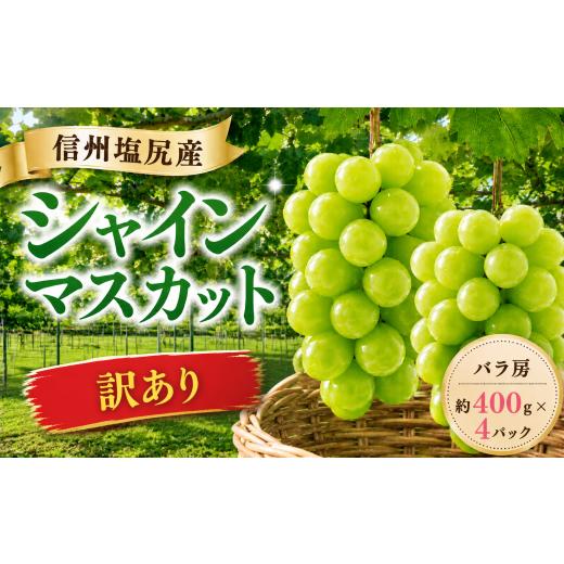 ふるさと納税 ぶどう マスカット 長野県 塩尻市 2026年先行予約 訳あり バラ房シャインマスカット 約400g×4パック 9月中旬頃〜11月初旬にかけて順次発送予定…
