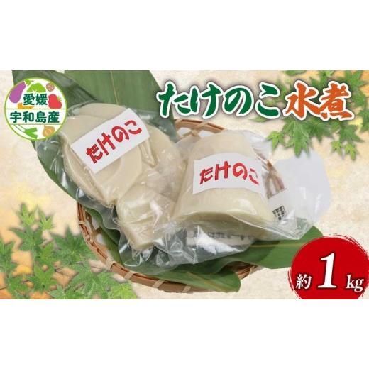 ふるさと納税 野菜類 山菜 愛媛県 宇和島市 たけのこ 水煮 1kg くり房 先行予約 国産 筍 タケノコ takenoko 料理 煮物 炊き込みご飯 おでん お手軽 便利 簡単 …